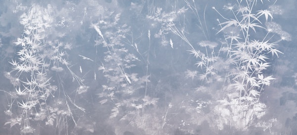 Whispering Bamboo Mist