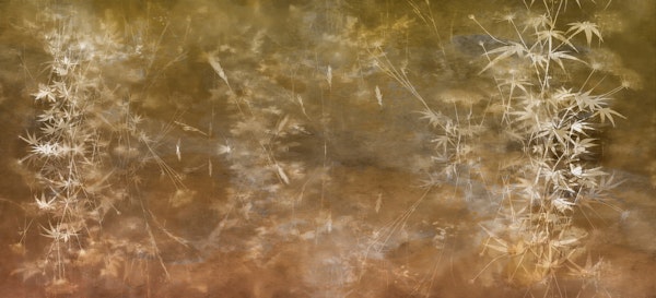 Golden Bamboo Dreamscape