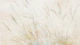 Ethereal Reed Design