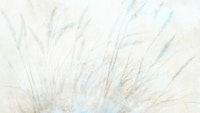 Ethereal Grasses Canvas tapet