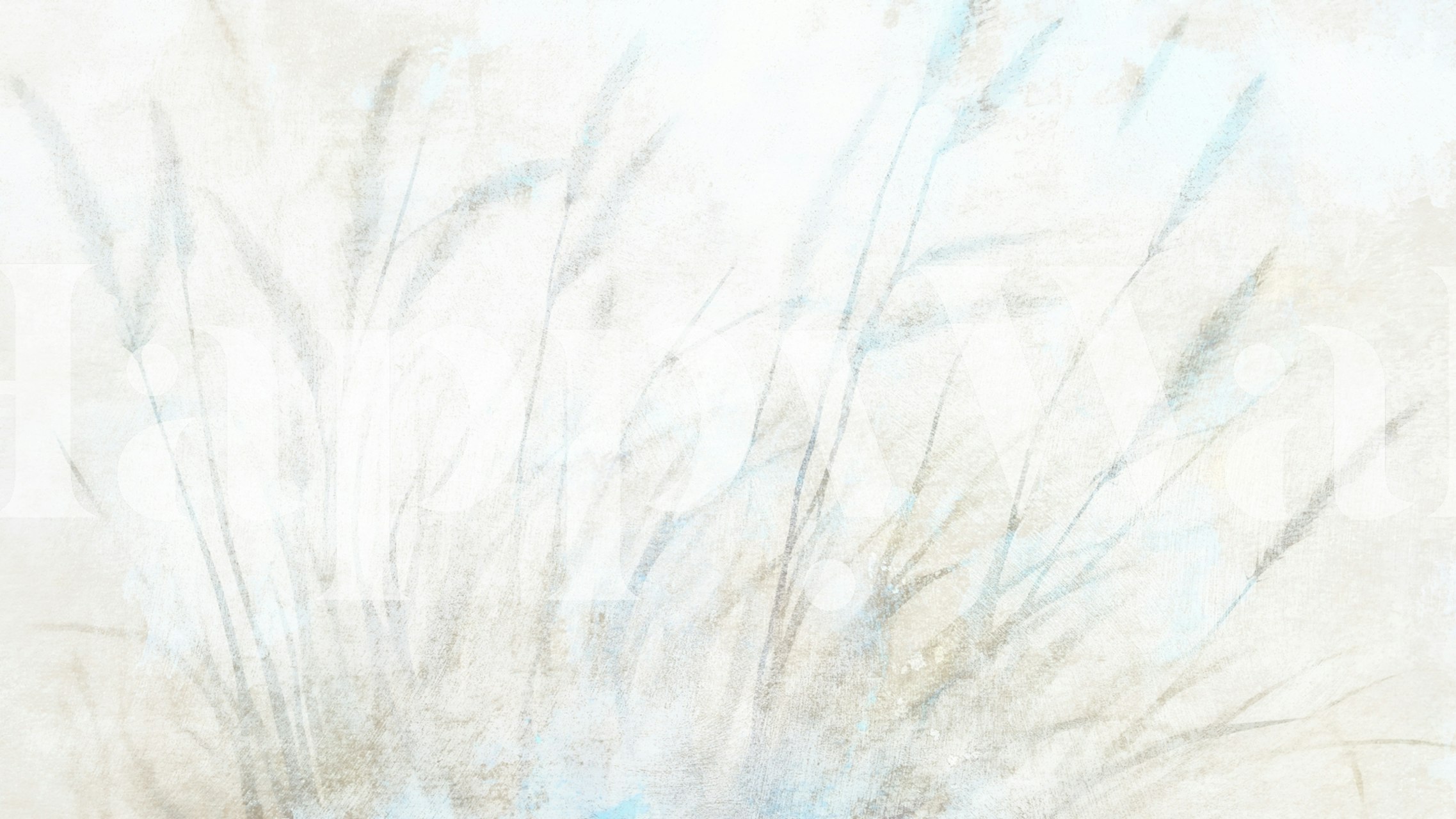 Ethereal Grasses Canvas tapet i et rom