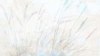 Ethereal Grasses Canvas wallpaper