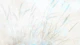 Ethereal Grasses Canvas