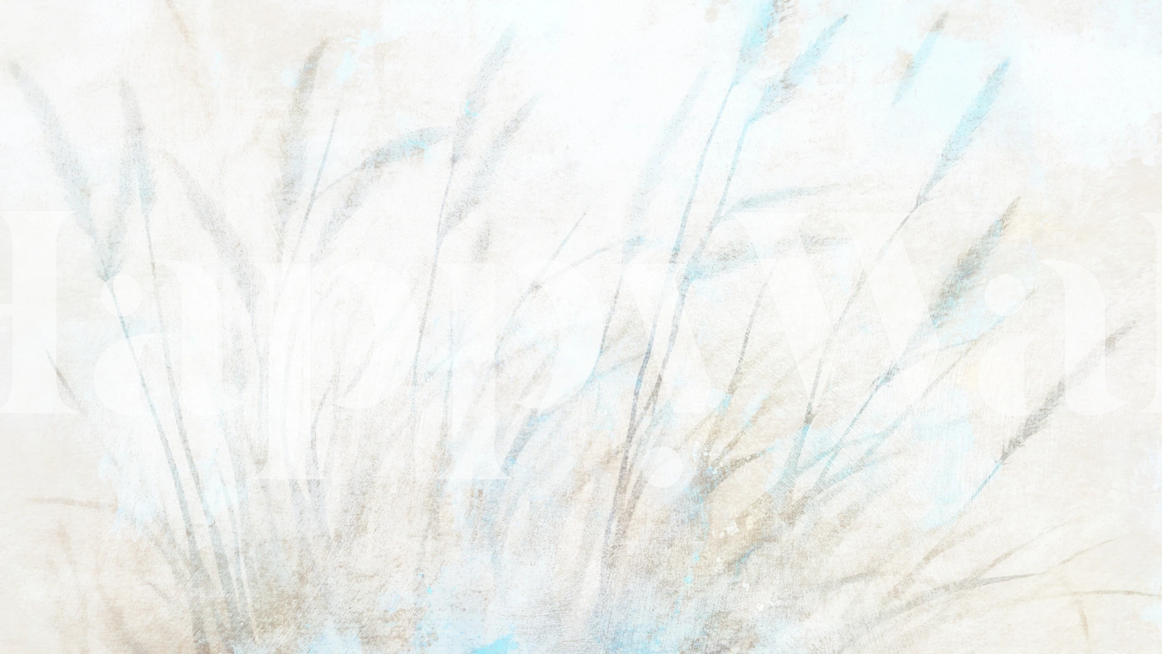 Ethereal Grasses Canvas wallpaper in a room