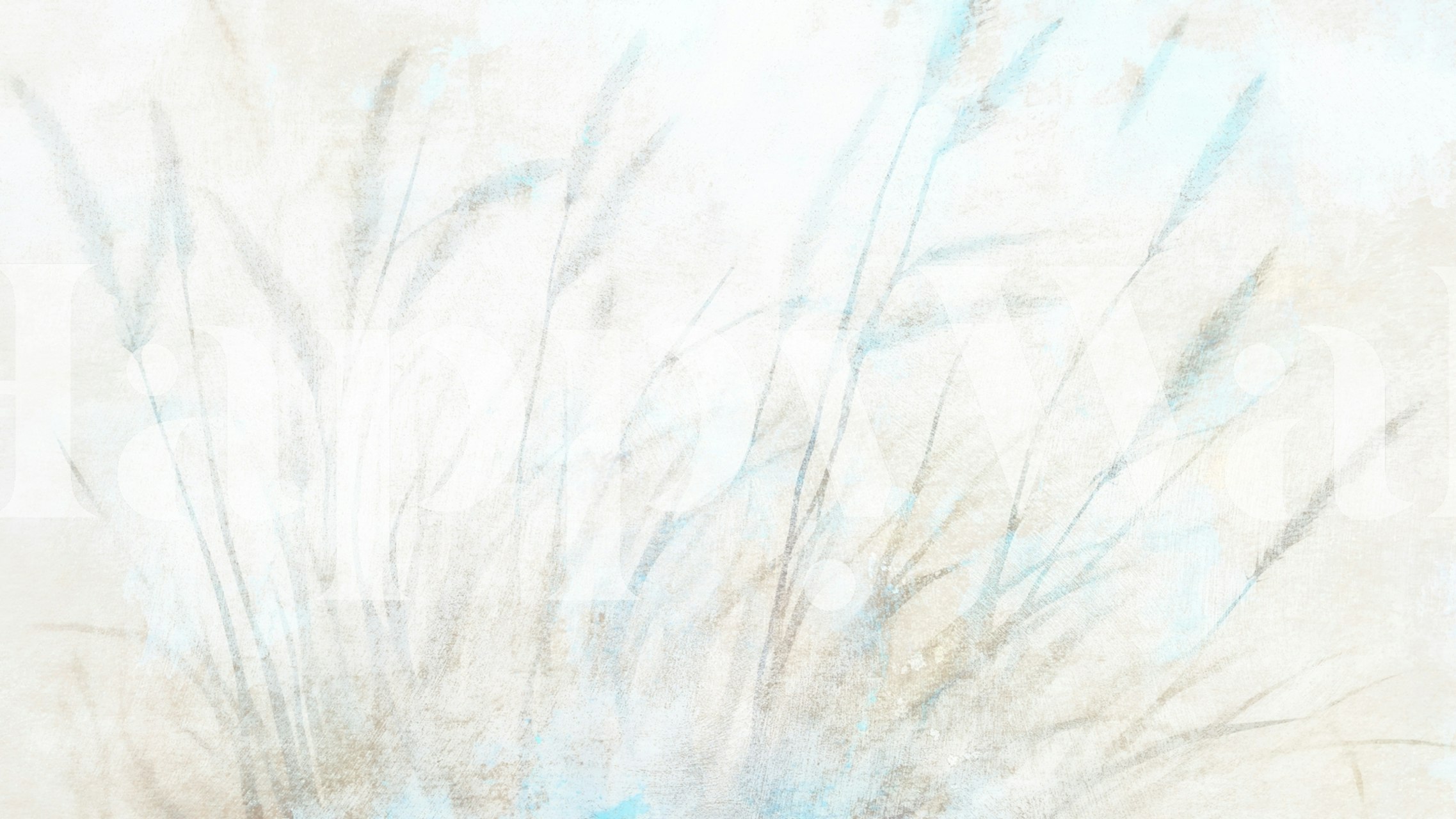 Ethereal Grasses Canvas wallpaper in a room