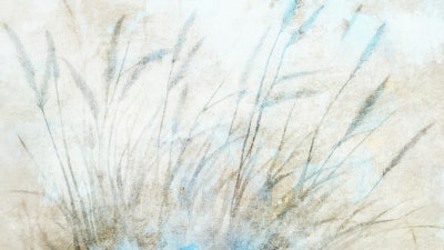 Mural