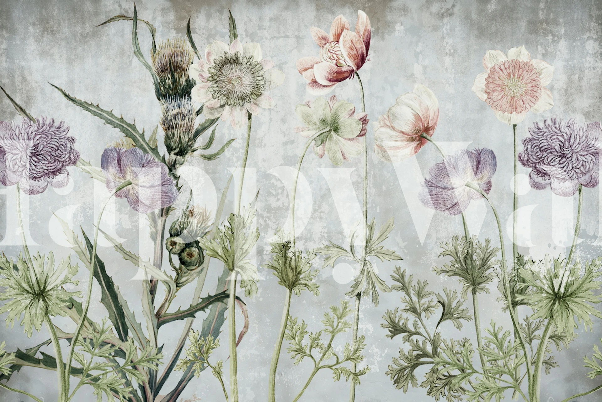 Vintage floral wallpaper displayed in a room