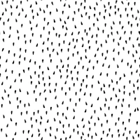 Watermelon seeds black on white wallpaper