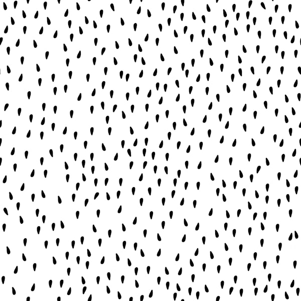 Watermelon seeds black on white