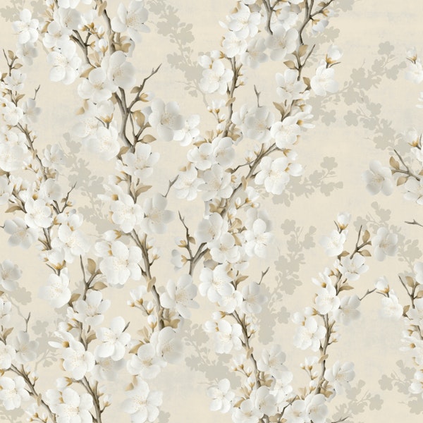 Cherry blossom pure and soft and cream