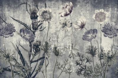 Mural