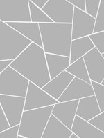 Gray White Geometric Glam 1 behang