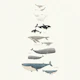 Giants of the Sea in French