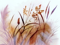Autumn Whisper Grass carta da parati