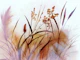 Autumn Whisper Grass
