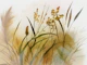 Golden Reed Whispers