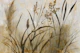 Golden Grasses Elegance