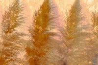 Golden Hues Flora wallpaper