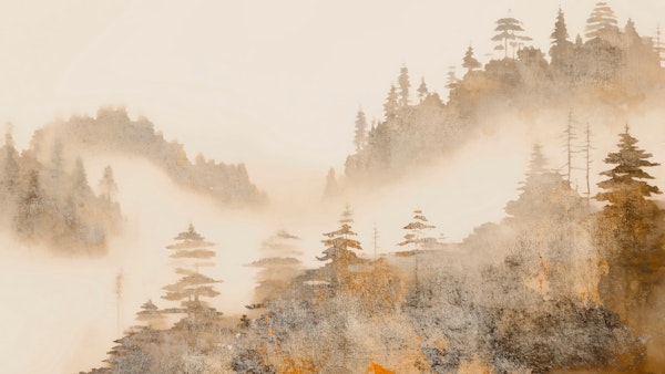 Soft Foggy Wilderness