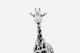Cute Giraffe 2