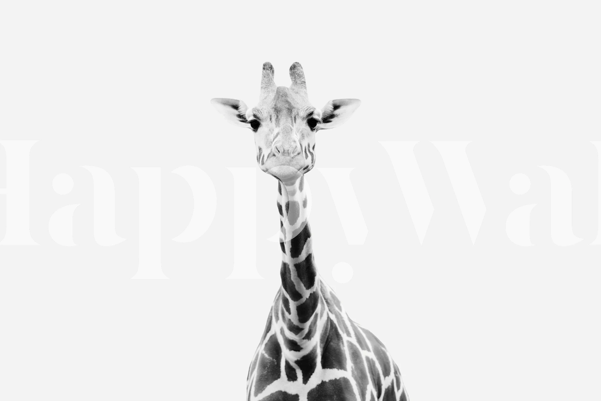 Monochrome giraffe illustration in black and white wallpaper