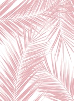 Palm Leaves Pattern Dream 5 wallpaper