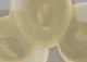 organic shapes neutrals
