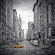 NEW YORK CITY Fifth Avenue