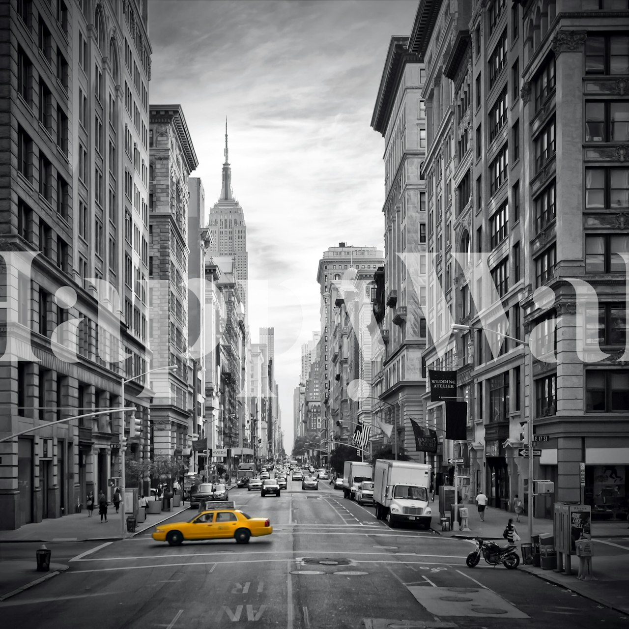 Intricately illustrated New York City Fifth Avenue wall mural