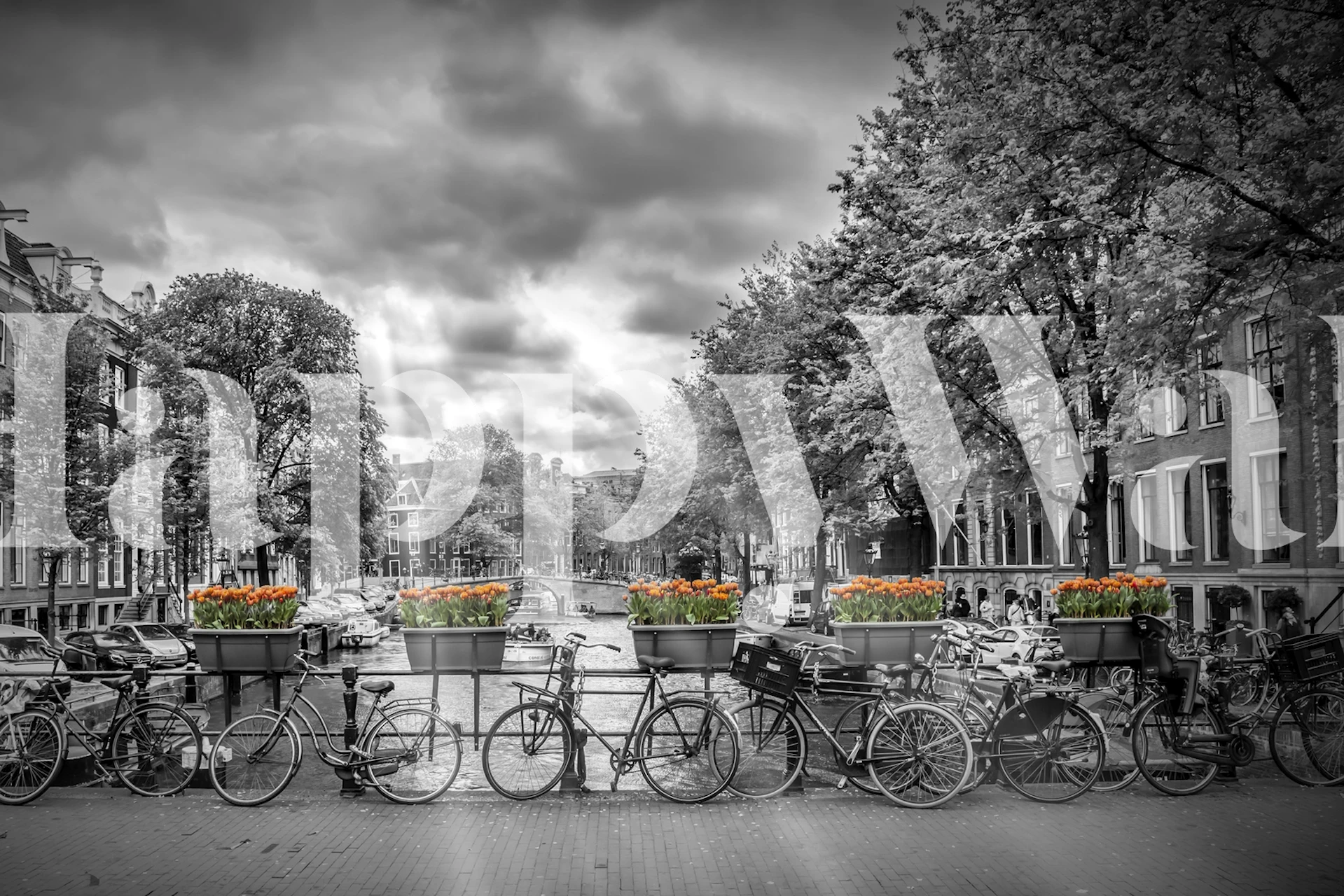 Black and white cityscape with bikes and flower pots in orange wallpaper