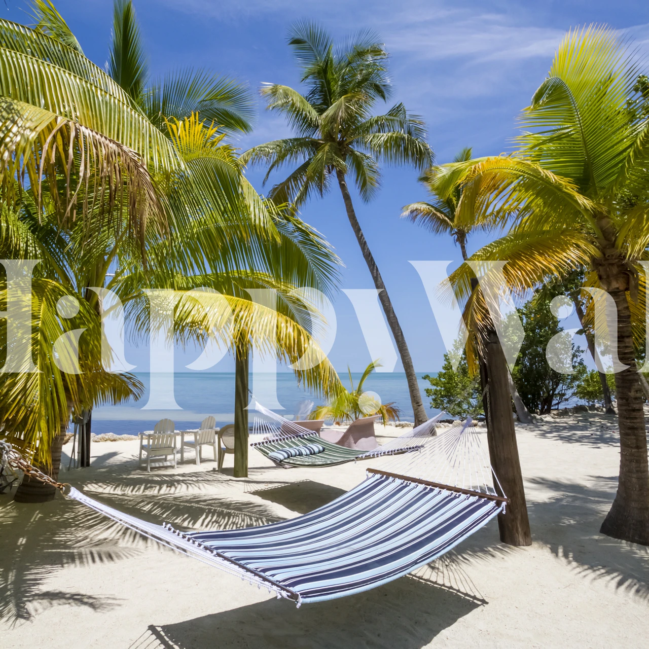 Carta da parati murale sulla spiaggia tropicale delle Florida Keys con amaca e palme