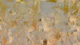 Aged Gold Texture