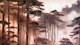Moody Blush Asian Forest