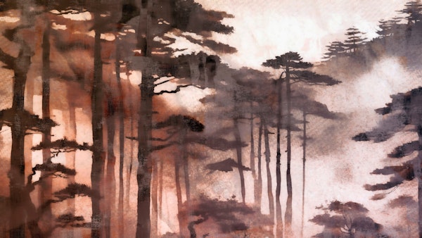 Moody Blush Asian Forest