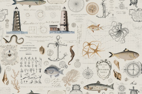 Old World Maritime Adventure