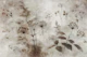 Autumn Flora Essence