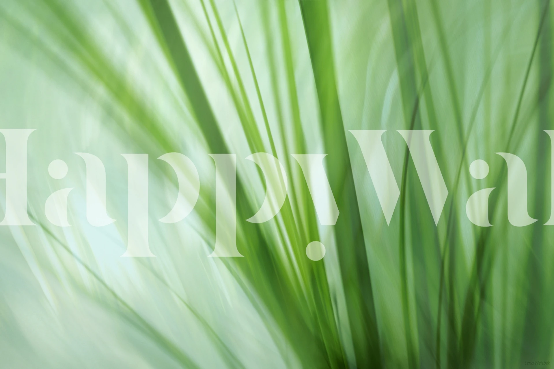 Papel de parede Dancing Grasses em um quarto