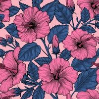 Pink hibiscus, blue leaves on pink carta da parati