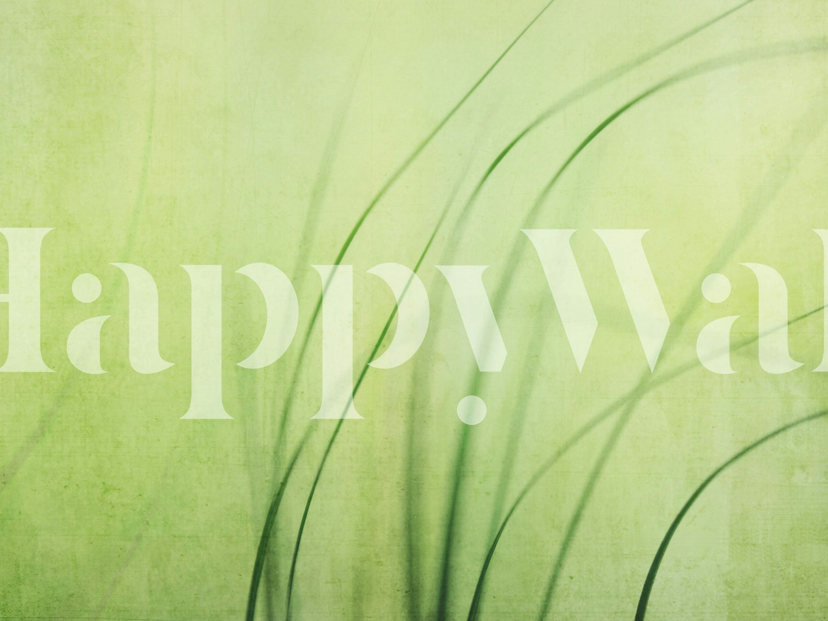 Swaying Grasses wallpaper in a room