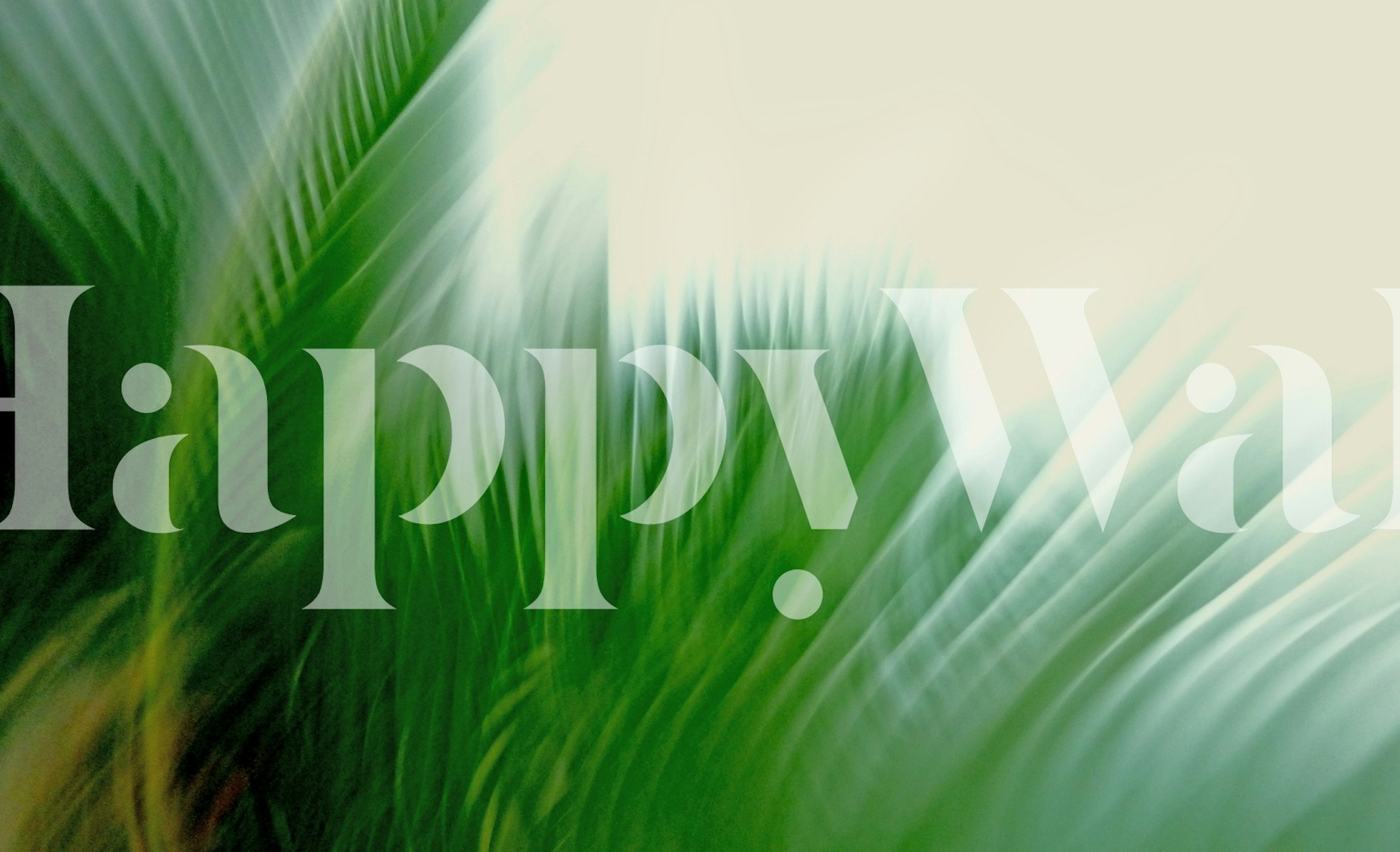 Verdant Breeze wallpaper in a modern room