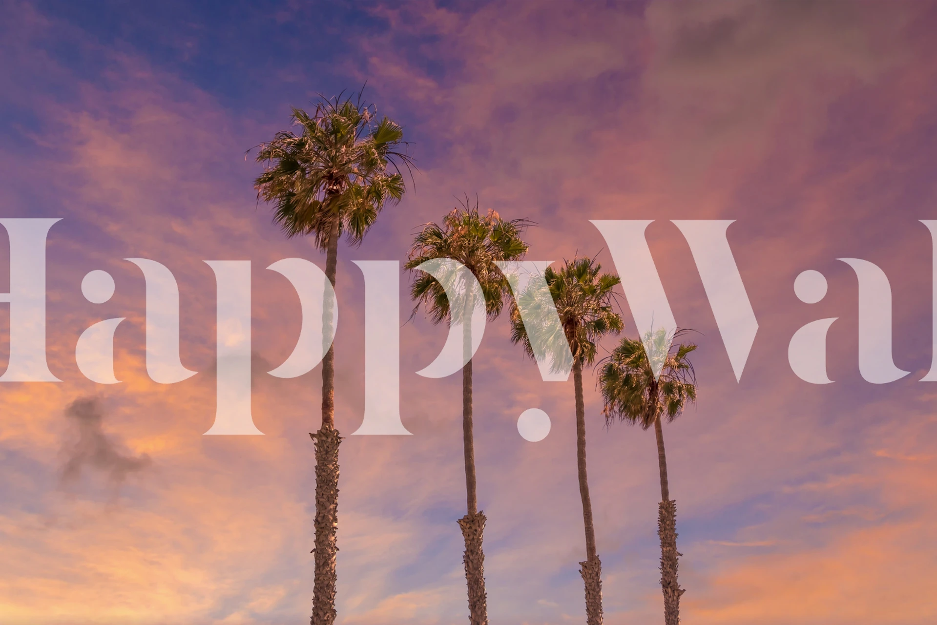 Palm trees at sunset wallpaper