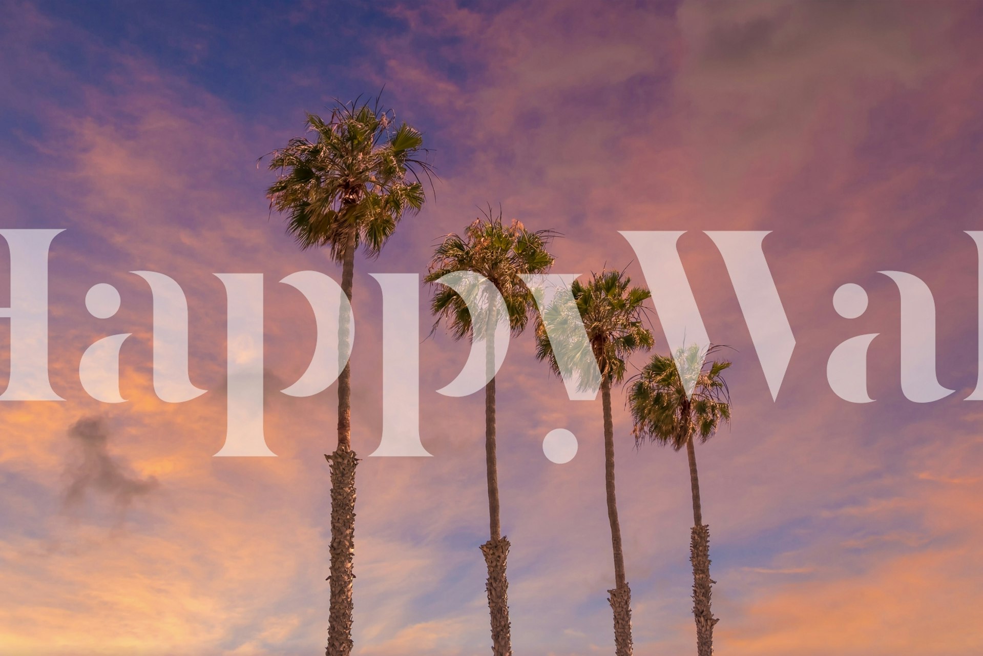 Palm trees auringonlaskussa taustakuva