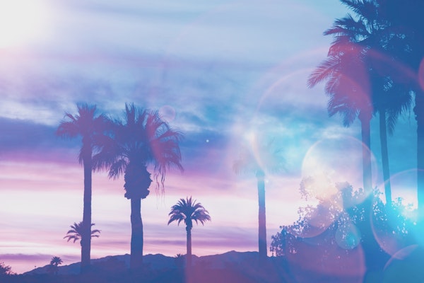 Exotic Paradise Surreal Light