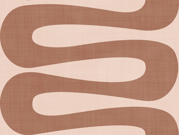 Abstract Curve Stripe Mocha Mousse Brown