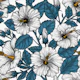 White hibiscus, blue leaves on white
