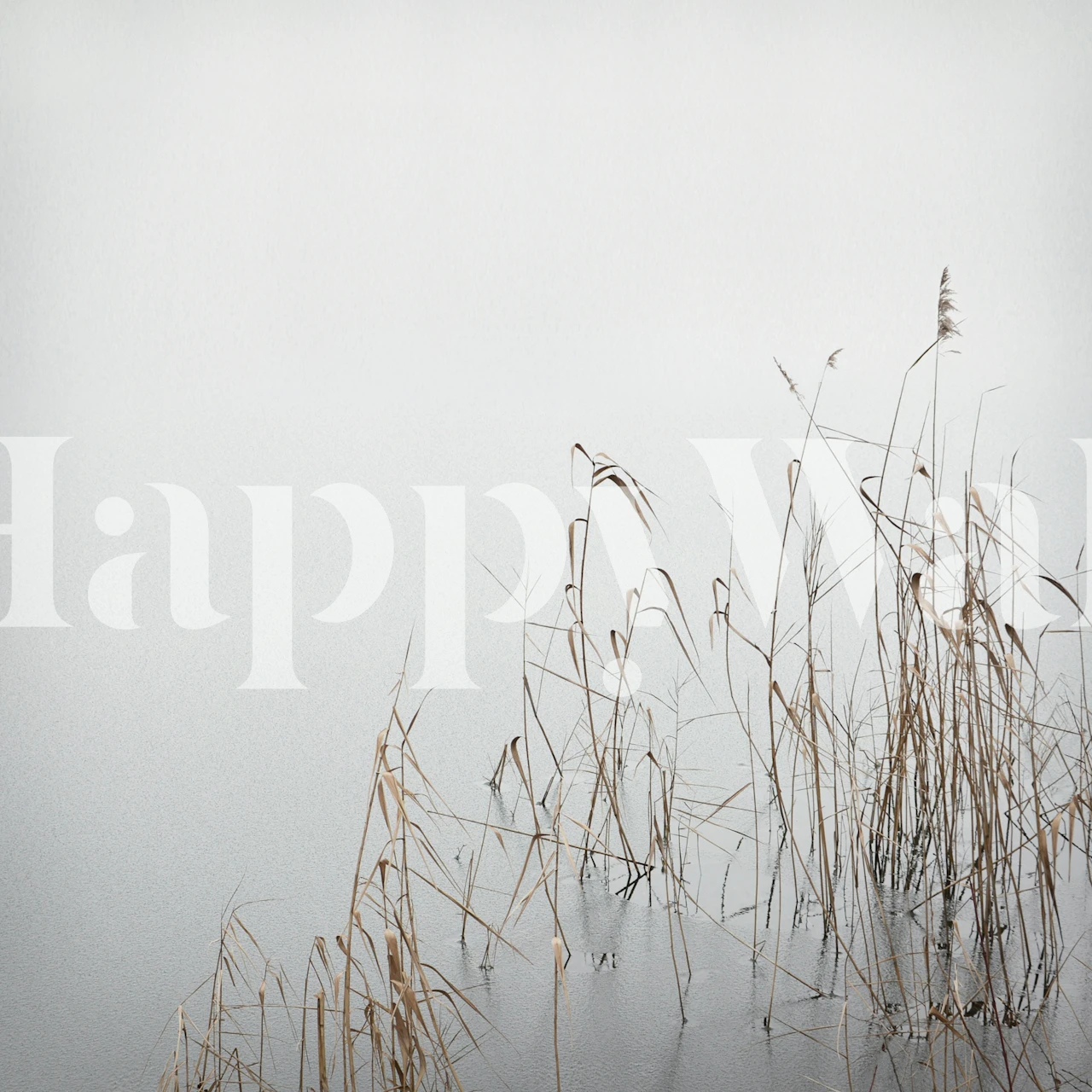 Soft gray reeds against a light background wallpaper