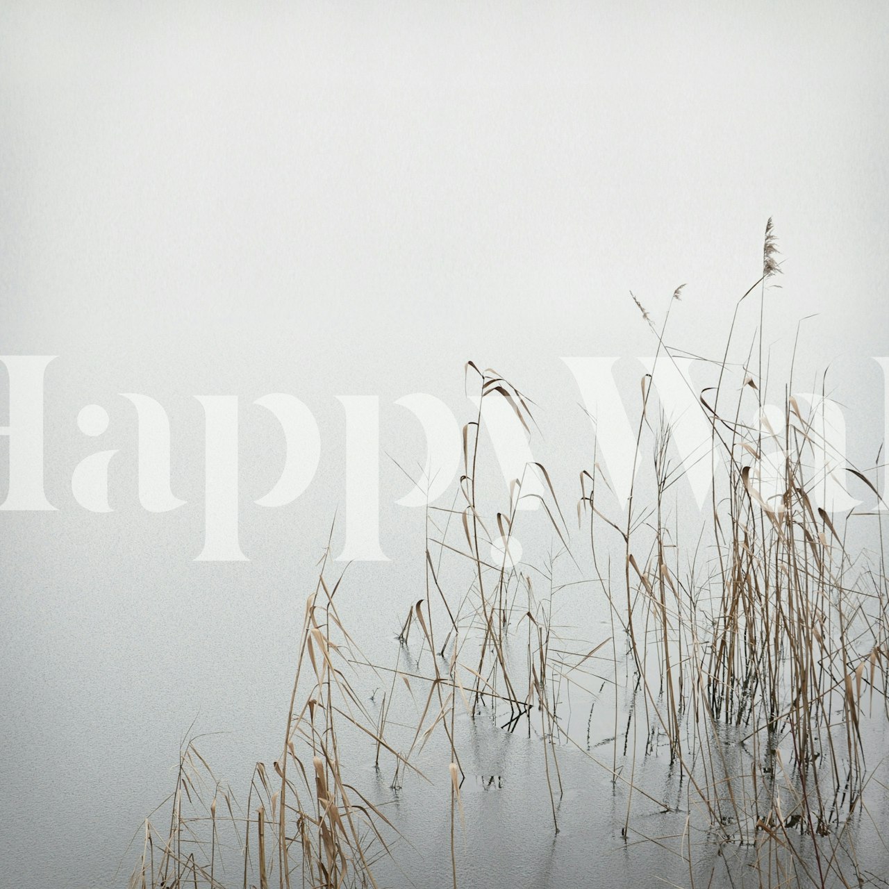 Soft gray reeds against a light background wallpaper