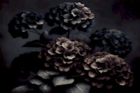 Dark Moody Blooms wallpaper