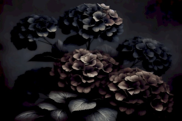 Dark Moody Blooms