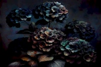 Midnight Bloom Essence wallpaper